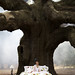 Rodney Wray Photo 22