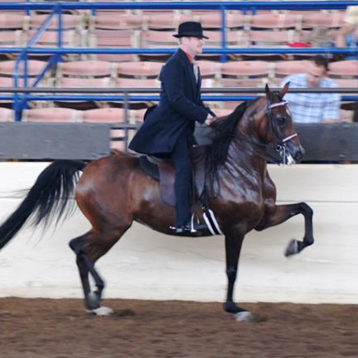 Brian Hunt Photo 41