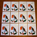 Robin Card Photo 12