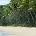 Ellis Beach Photo 9