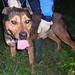 Thomas Sacco Photo 13
