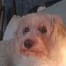 Linda Mcmichael Photo 16