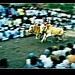 Janet Race Photo 5