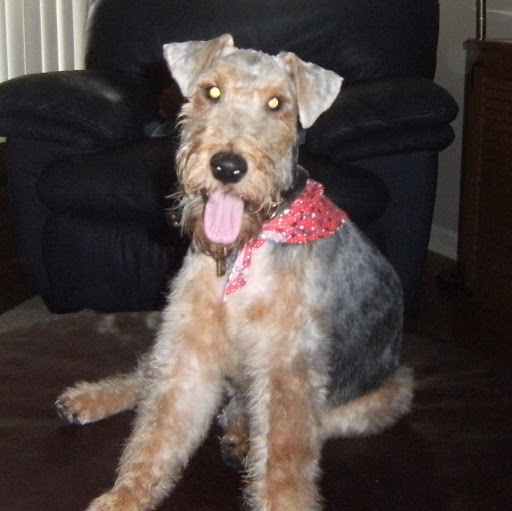 Nancy Conley Photo 5