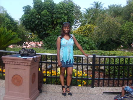 Teresa Coleman Photo 3