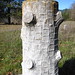 Perry Woodman Photo 7