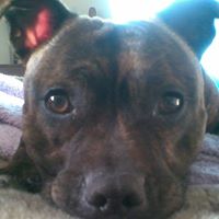 Cory Hatfield Photo 4