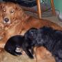 Lois Curtis Photo 33