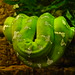 William Roder Photo 2