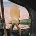 Anne Tiller Photo 9