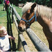 Michael Hanson Photo 43