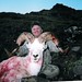 Steven Hunt Photo 9