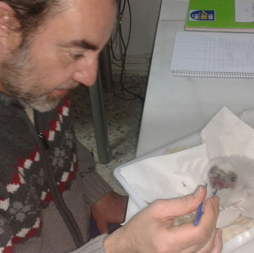 Miguel Granado Photo 32