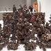 Jan Jeffries Photo 18