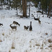 Jason Henke Photo 16