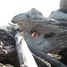 Brandon Peek Photo 29