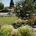 Jeanette Meadows Photo 13