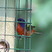 Debra Deters Photo 7