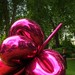 James Koon Photo 11