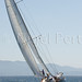 Peter Imperiale Photo 6