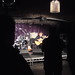 Neil Reilly Photo 21