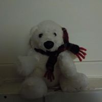 Michael Gehring Photo 31