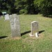 Gail Vaughan Photo 16