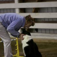 Cynthia Spangler Photo 12