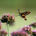Teresa Jacks Photo 20