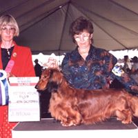 Janet Whittaker Photo 9