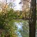 Gregory Mills Photo 29