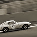 David Ferrari Photo 18