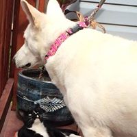 Cindy May Photo 45