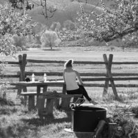 Mary Ziegler Photo 36