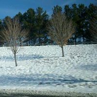 Jesse Clements Photo 37