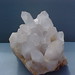 Crystal Petty Photo 6
