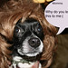 Rhonda Riley Photo 37