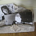Wanda Clark Photo 16