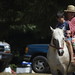 Sherry Root Photo 11