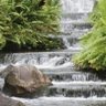 Barbara Rust Photo 16