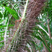 Mary Plant Photo 17