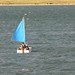 Jason Harwood Photo 18