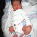 Ann Kelley Photo 41