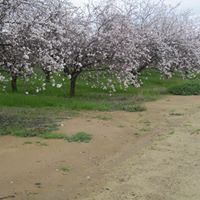 Stephen Wunder Photo 5