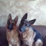 Tina Riley Photo 48