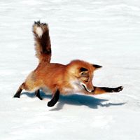 Alex Sturmer Photo 4