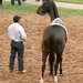 Mario Espinoza Photo 20