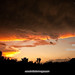 Tim Lester Photo 26