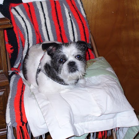 Phyllis Marshall Photo 18