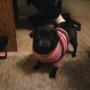 Cathy Gordon Photo 15